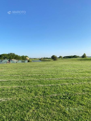 Imagen 3 de 12 de Lote En Venta En El Canton - Maroto Propiedades