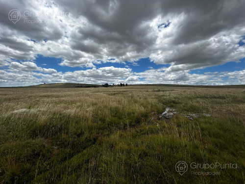 Campo En Venta - Rocha