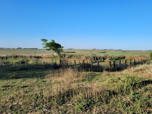 Imagen 9 de 17 de Casco De Estancia A 600m De La Ruta 11