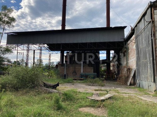 Terreno En Renta En Cd. Guzmán