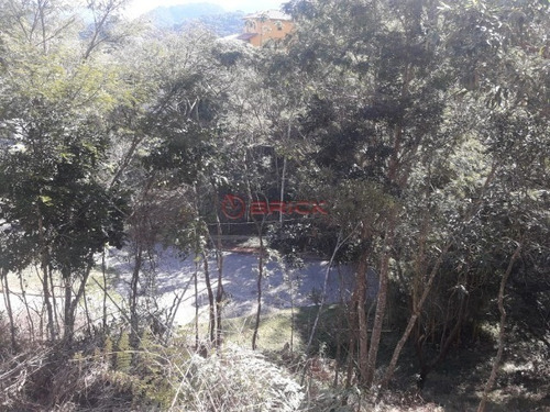 Imagem 2 de 20 de Terreno Com 443 M² Em Condomínio Em Vargem Grande. Teresópolis- Rj. - Te00281 - 34420574