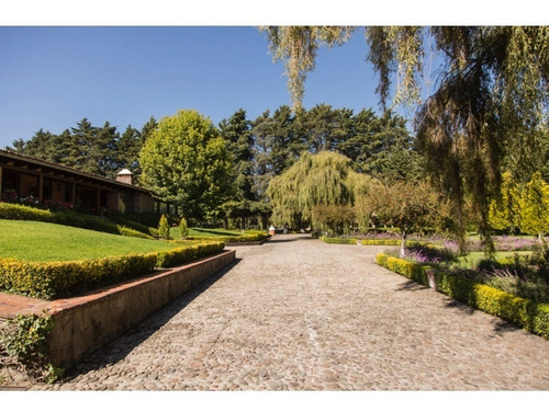 Imagen 7 de 13 de Espectacular Rancho En Venta