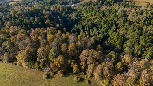 Parcela 5.000m2 | Sector Puquereo | Eje Freire-villarrica