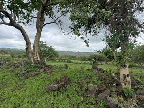 Terrenos Rusticos. A 20 Minutos De Oaxtepec.