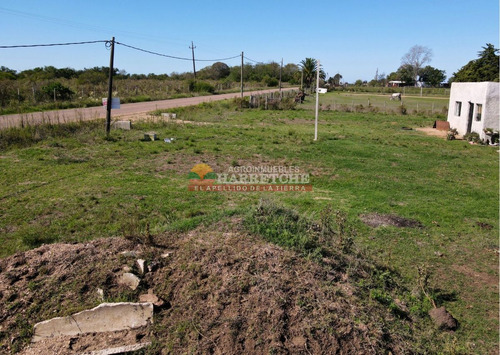 Imagen 8 de 8 de Terreno Con Mejoras En Los Cerrillos, 5000 M2 Sobre Ruta.