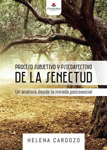 Proceso Subjetivo Y Psicoafectivo De La Senectud