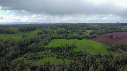 Campo En La Unión Cercano Al Lago Ranco 27,4 Hectáreas