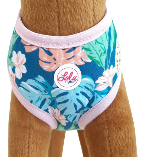 Arnés Pretal Perro Talle M Acolchado Con Correa Lola Pets