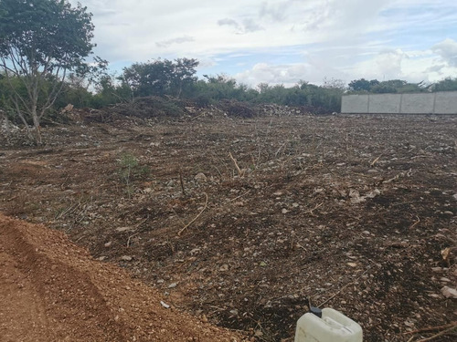 Imagen 4 de 5 de Dzitya Terrenos En Venta Dhara