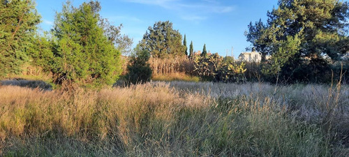 Imagen 1 de 8 de Terreno - La Loma Xicotencatl