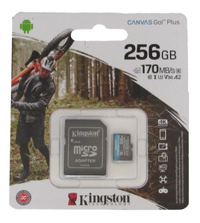 Kingston sdcr/256gbsp Tarjeta de Memoria SD Clase 10 256 GB 