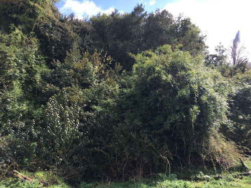 Hermosa Parcela En Rapaco Sector Los Canales La Union