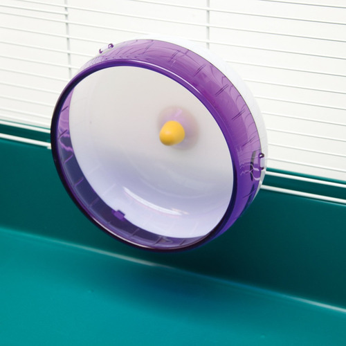 Kaytee Silencioso Spinner Rueda, Gigante De 12 Pulgadas, Col