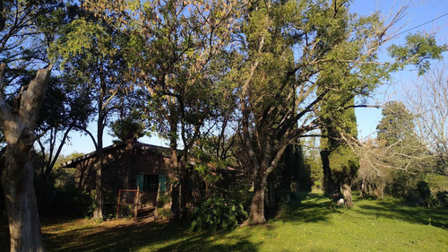 Imagen 2 de 9 de Venta Campo - Zona Talita - Concepcion Del Uruguay