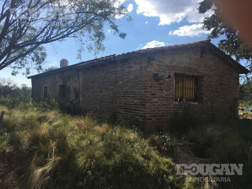 Imagen 4 de 5 de Campo - Junin