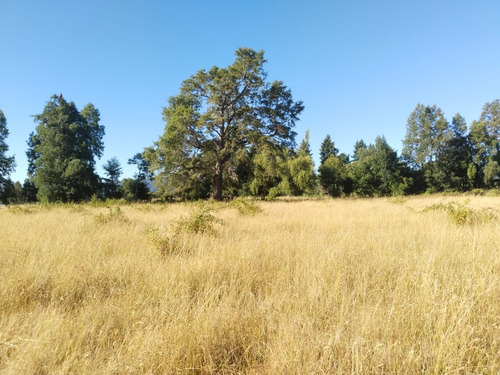 Parcela De 5000mtrs2, Sector Chucauco, Camino Vrca Freire