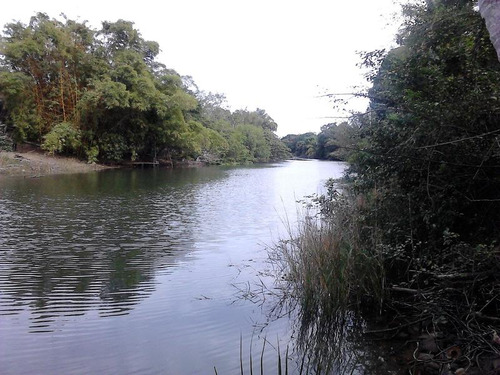 Venta Finca Terreno 5000 M² En Juana Moza Tuxpan Veracruz