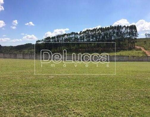 Imagem 3 de 4 de Terreno À Venda Em Notre Dame - Te001333