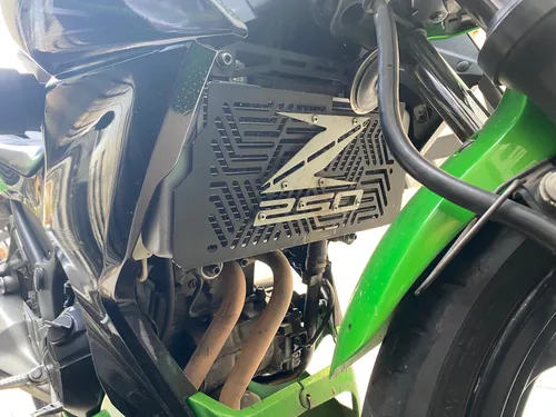 Z250