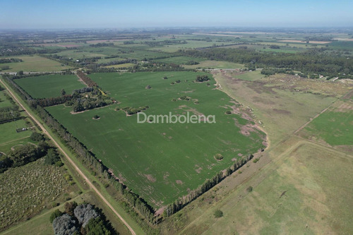 Imagen 3 de 16 de Campo En Venta - Cortines, Luján, G.b.a. Zona Oeste