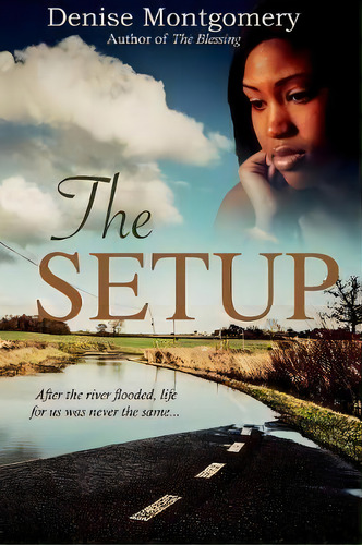 The Setup, De Denise E Montgomery. Editorial Authentic Inspired Print Publications, Tapa Blanda En Inglés