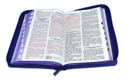 Biblia Rvr065 Zcti Pjr Jean Cinturón Lila, De Mundo Biblia. Editorial Abba, Tapa Blanda En Español
