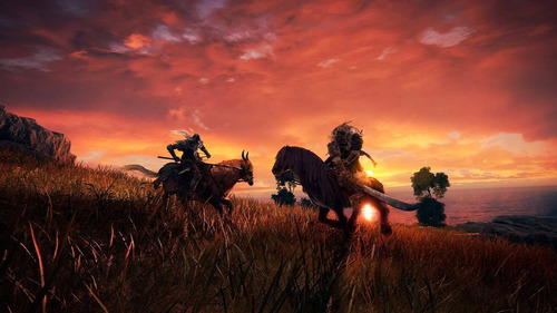 Juego Elden Ring Ps4 Playstation 4 Nuevo