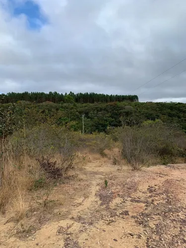 Fazenda De 30 Hectares Com 12 Plantados De Eucalipto