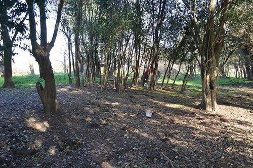 Imagen 12 de 17 de Terreno Para Empredimiento Manzanares 15 Hectareas