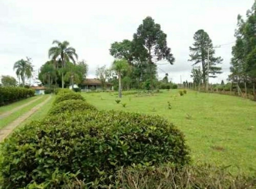 Vendo Chácara Terreno Limpo P/ Plantio Construção De Chalés Ou Centro De Distribuição Com 2 Casas Simples Em São Roque A 3km Estrada Do Vinho E Vinícola Góes Excelente Localização Acesso Fácil Estrada
