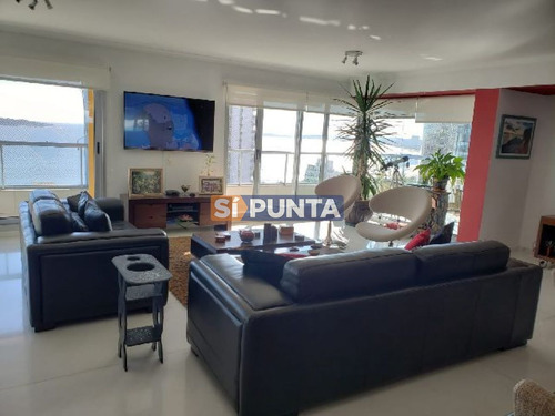 Imagen 2 de 14 de Apartamento En Alquiler