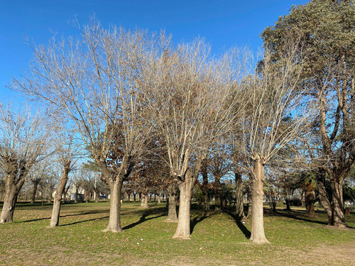 Lotes En Venta - Oportunidad De Inversion Ruta 16 Canning