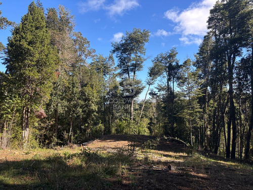 Inmersas En Bosque, Con Orilla De Rio Y Vista Al Lago.