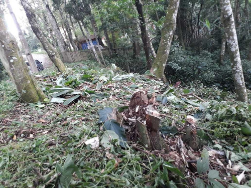 Imagem 8 de 14 de Terreno Bem Localizado - Possibilidade De Permuta Parcial.