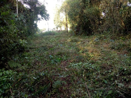 Imagem 1 de 4 de Terreno - Venda - Jardim Coronel - Itanhaém - Sue5