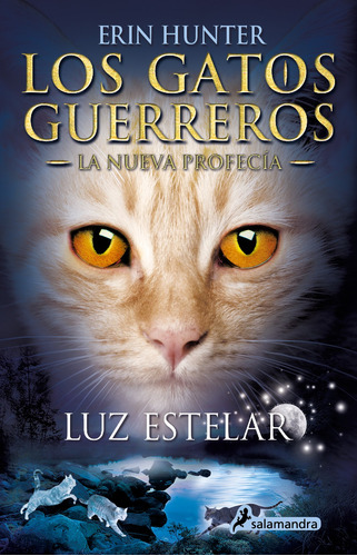 Los Gatos Guerreros | La Nueva Profecía 4 - Luz estelar, de Hunter, Erin. Serie Juvenil Editorial Salamandra Infantil Y Juvenil, tapa blanda en español, 2021