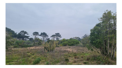 Imagen 4 de 17 de Terreno En Venta En La Barra