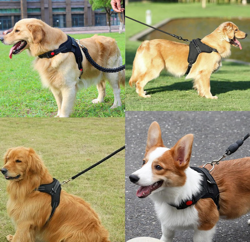 Pretal Arnes Perros Antitirones Broches Y Traba De Seguridad Negro Xl Liso