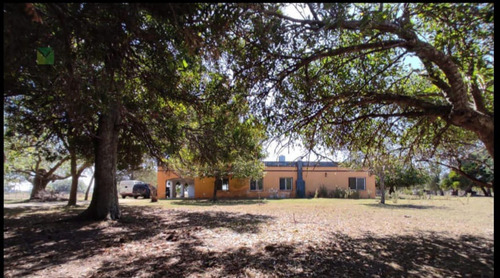 Quinta En Venta- 12 Has Con Pileta- Verónica