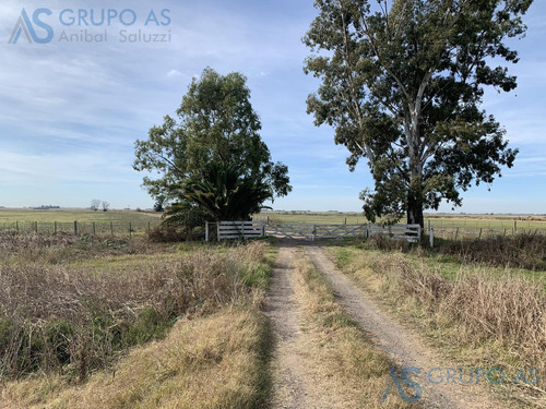 Excelente Campo Agricola De 62,73 Has.