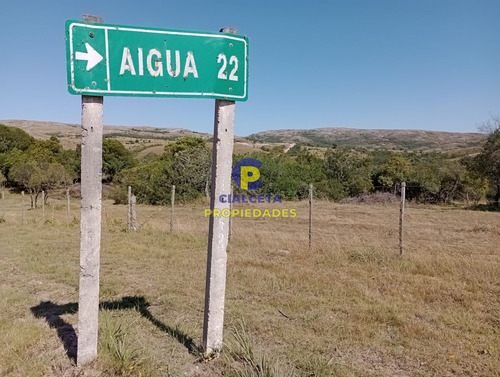 Imagen 13 de 13 de 5 Hectáreas, Entrega 10.800 U$s Y Saldo En 60 Cuotas