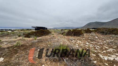 Sitio En Condominio Las Mostazas, Guanaqueros
