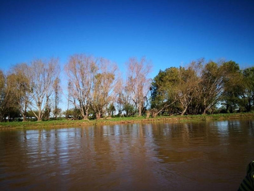 Imagen 25 de 29 de Campo De Isla Ganadero, 2.000 Has Sobre El Paranacito