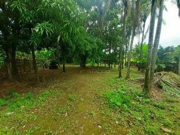 Imagem 3 de 11 de Chácara À Venda, 4000 M² Por R$ 480.000,00 - Zona Rural - Anápolis/go - Ch0013