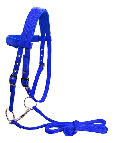 Brida De Nylon Para Montar A Caballo Azul L