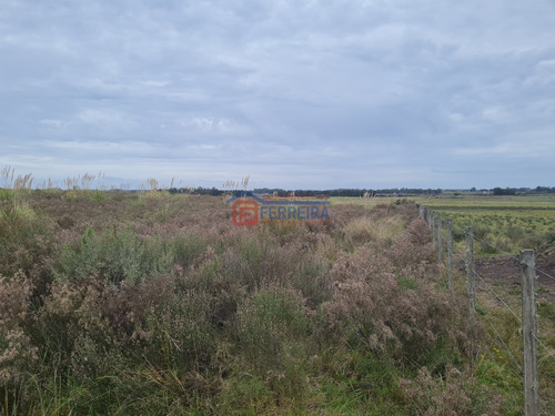 Vende Chacra De 5,6 Hectáreas - 50 Km. De Montevideo