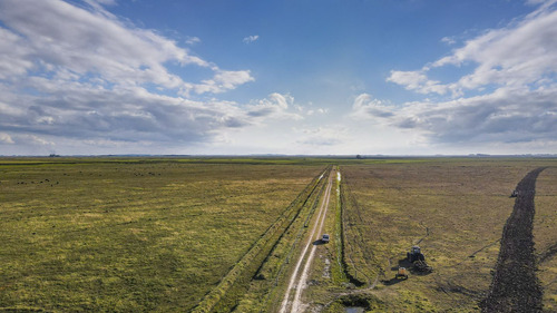Venta Campo 740 Hás Rocha Agrícola Ganadero R 7085 (ref: Atm-7085)