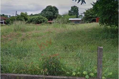 Imagen 3 de 9 de Venta De Amplio Terreno Ubicados En Cipres Veracruz