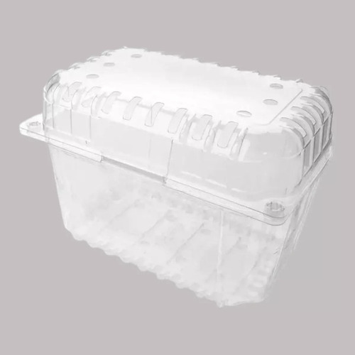 Contenedor Envase Para Frutas 500grs / 100 Unid T Snap Block