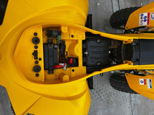 Imagen 21 de 21 de Cuatriciclo Can Am Ds 250 Con Trailer
